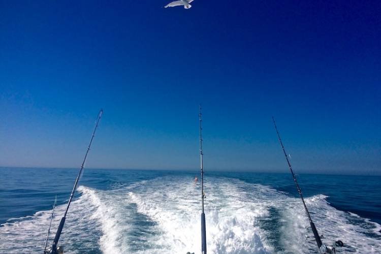 Fishing Tournament Cayman Islands